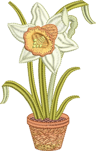 Daffodil Flower Bulb 2 Embroidery Motif - 17 by Sue Box
