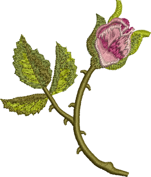 Rose Bud Embroidery Motif by Sue Box