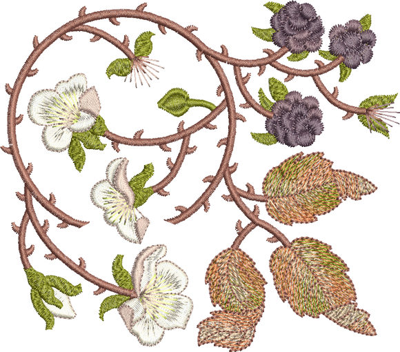 Bramble and Berry 2 Embroidery Motif - 01 by Sue Box