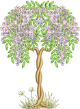 Tree 2 Embroidery Motif - 01 by Sue Box