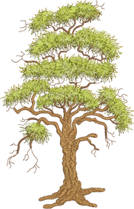 Tall Oak Tree Embroidery Motif - 02 by Sue Box