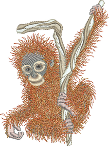 Orangutan Baby Ape Embroidery Motif - 03 - Zoo Babies by Sue Box