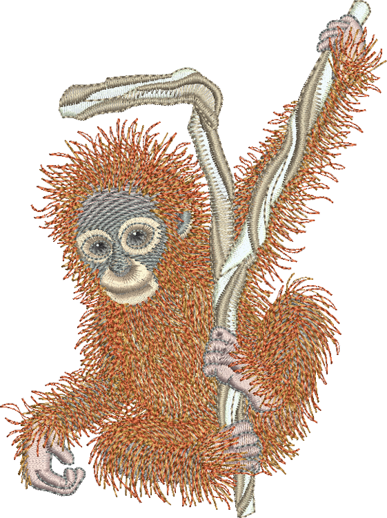 Orangutan Baby Ape Embroidery Motif - 03 - Zoo Babies by Sue Box