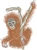 Orangutan Baby Ape Embroidery Motif - 03 - Zoo Babies by Sue Box