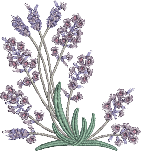 Lavender Embroidery Motif - 05 by Sue Box