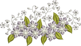 Flower 3 Embroidery Motif - 09 by Sue Box