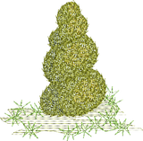 Shrub Embroidery Motif - 13 by Sue Box