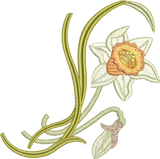 Daffodil Flower Spray Embroidery Motif - 14 by Sue Box