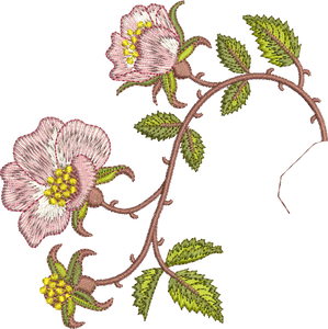 Golden Classics Rose Borders 2 Embroidery Motif - 15 by Sue Box