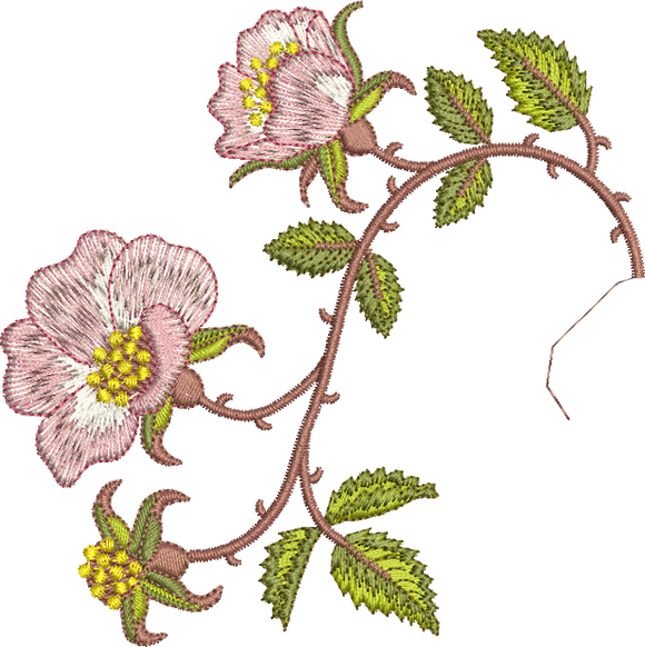 Golden Classics Rose Borders 2 Embroidery Motif - 15 by Sue Box
