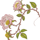 Golden Classics Rose Borders 2 Embroidery Motif - 15 by Sue Box