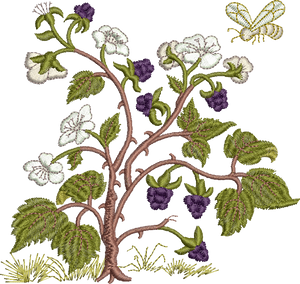 Blackberries Embroidery Motif - 17 by Sue Box