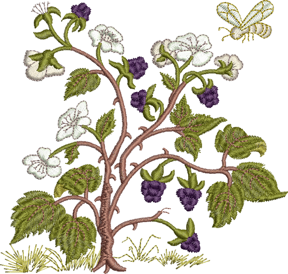 Blackberries Embroidery Motif - 17 by Sue Box