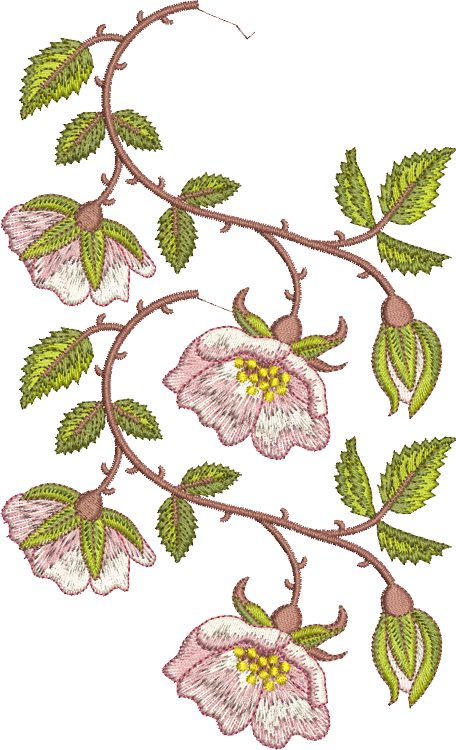 Rose Border 1 Double Design Embroidery Motif - 17 by Sue Box