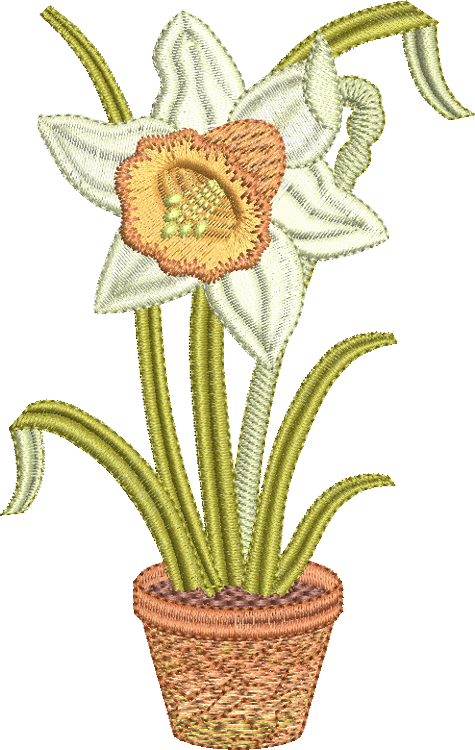 Daffodil Flower Bulb 2 Embroidery Motif - 17 by Sue Box