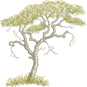 Acacia Tree Embroidery Motif - 18 - Zoo Babies by Sue Box