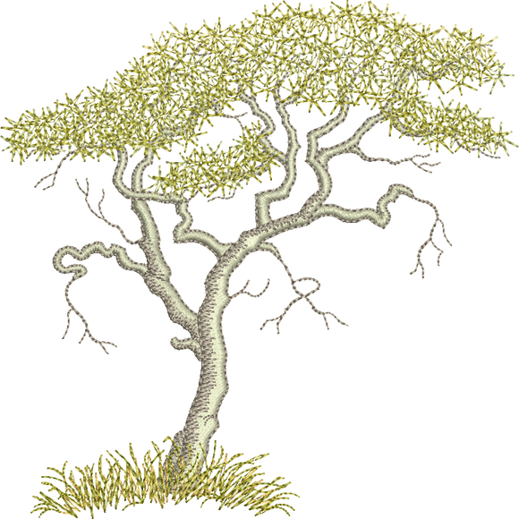 Acacia Tree Embroidery Motif - 18 - Zoo Babies by Sue Box
