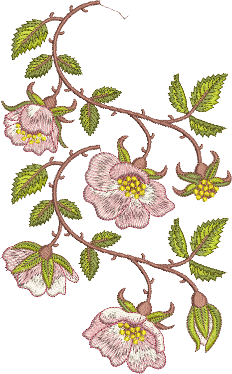 Rose Border 1 and 2 Embroidery Motif - 18 by Sue Box