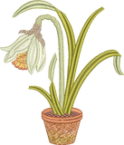 Daffodil Flower Bulb 1 Embroidery Motif - 18 by Sue Box