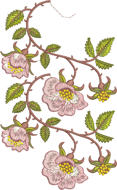 Rose Border 2 Double Design Embroidery Motif - 19 by Sue Box