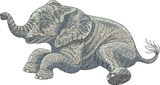 Elephant Embroidery Motif - 19 - Zoo Babies by Sue Box