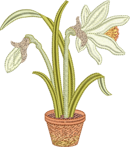 Daffodil Flower Bulb 3 Embroidery Motif - 20 by Sue Box