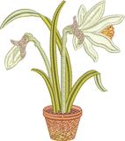 Daffodil Flower Bulb 3 Embroidery Motif - 20 by Sue Box
