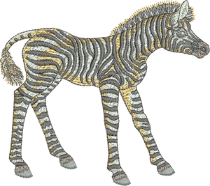 Zebra Embroidery Motif - 26 - Zoo Babies by Sue Box