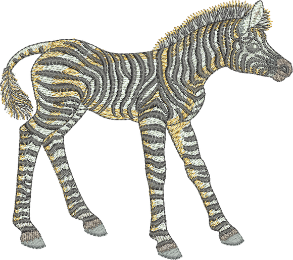 Zebra Embroidery Motif - 26 - Zoo Babies by Sue Box