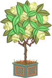 Lemon Tree Embroidery Motif - 27  by Sue Box
