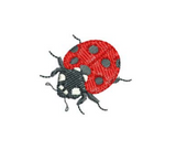 Lady Bug - Beetle 3 Embroidery Motif - Natures Pals by Sue Box