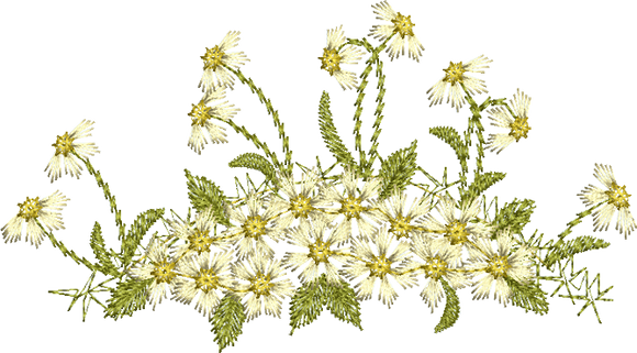 Flower 2 Embroidery Motif - 12 by Sue Box