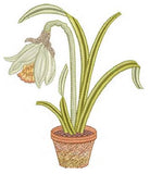 Daffodil Flower Bulb 1 Embroidery Motif - 18 by Sue Box