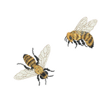 Mini Bees 2 Design Set Machine Embroidery Motif - 22 by Sue Box