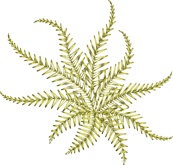 Fern Embroidery design by Sue Box