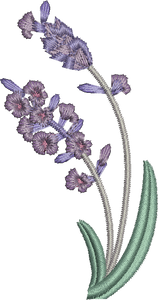 Lavender Spray Embroidery design by Sue Box