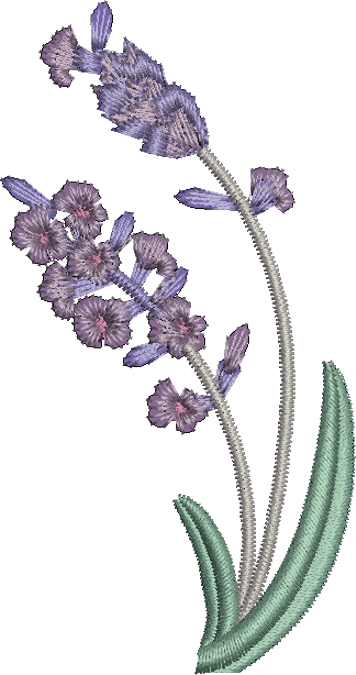 Lavender Spray Embroidery design by Sue Box