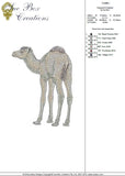 Camel Embroidery Motif - 05 - Sue Box Moroccan designs