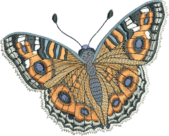 Butterfly - Meadow Argus Embroidery Motif by Sue Box