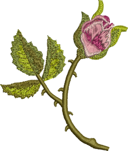 Rose Bud Embroidery Motif by Sue Box