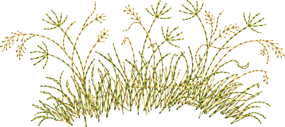 Grass tuft Embroidery Motif - 13 - Zoo Babies by Sue Box