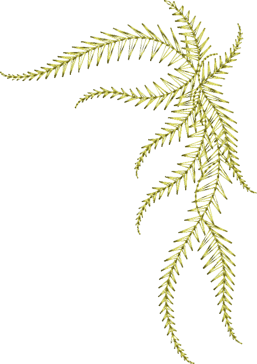 Floral Fern Corner Embroidery Motif - 16 - Zoo Babies by Sue Box